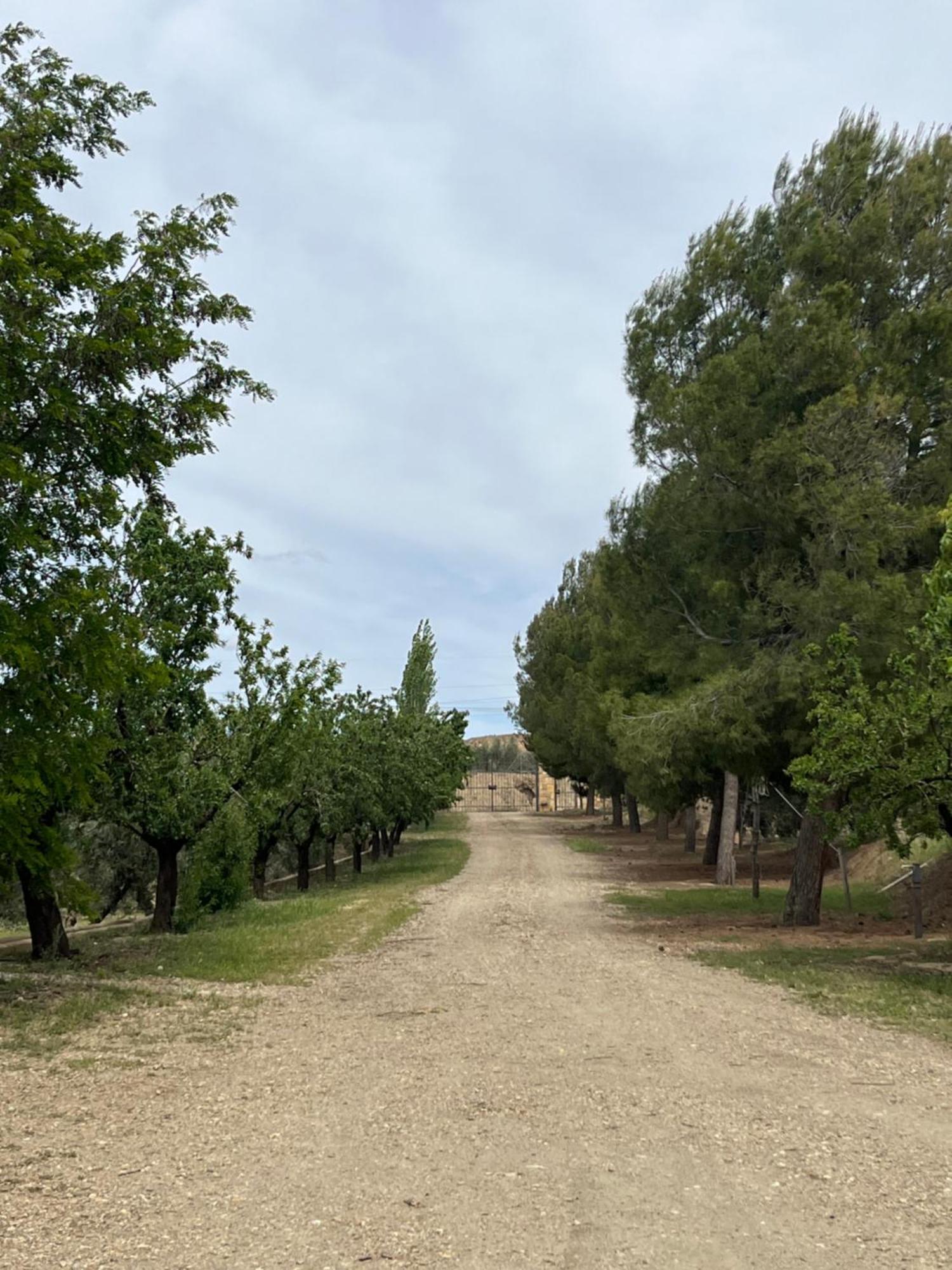Cortijo Don Meliton Villa Guadix Dış mekan fotoğraf